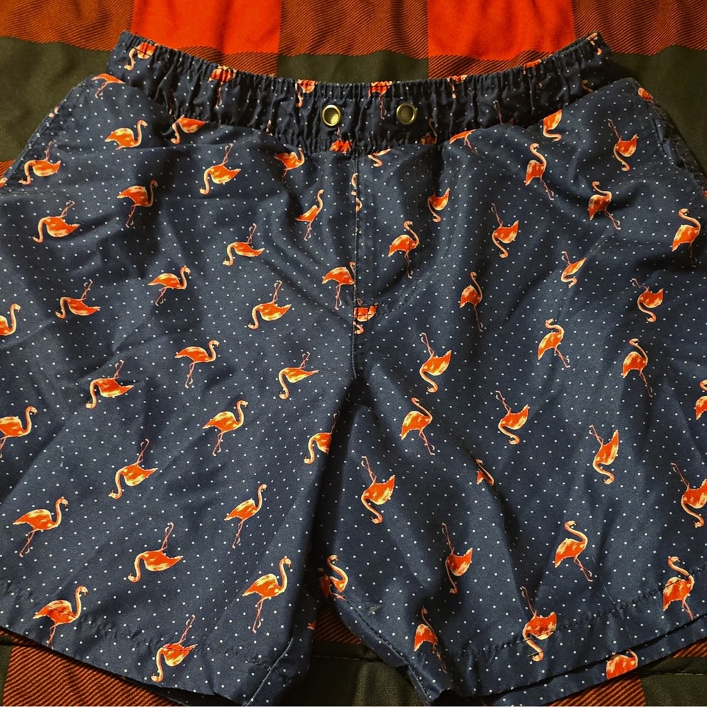 Surf Society Men's Swim Shorts Size S Blue Pink Flamingos Polka Dot Beach